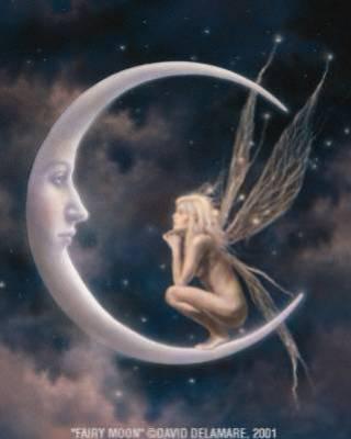 Ya pas plus bo que la lune